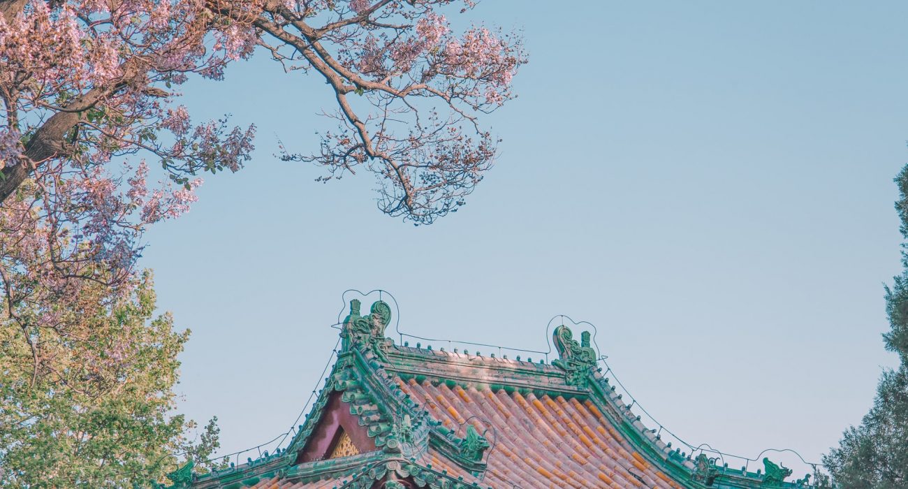 All the Lorem Ipsum generators on the Internet.