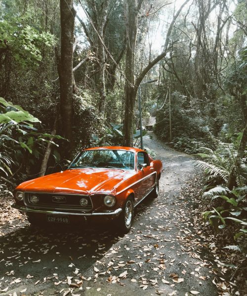 The Horizon Report: Beyond the Headlines, Insights for Tomorrow