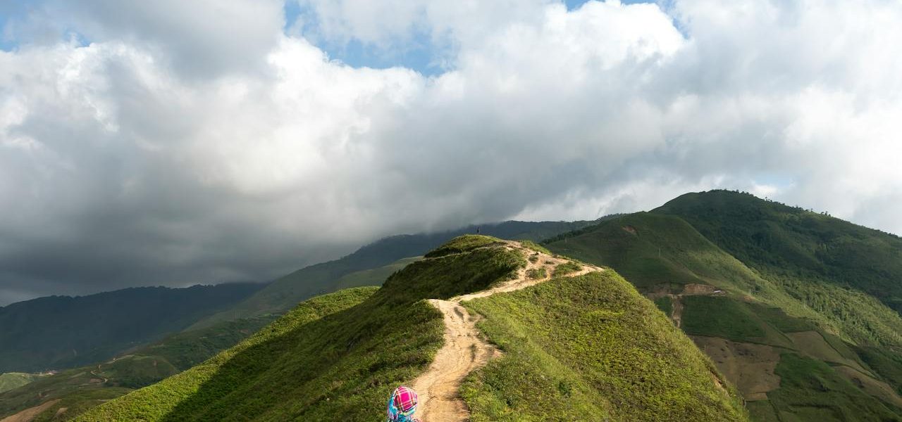 Many desktop publishing packages and web